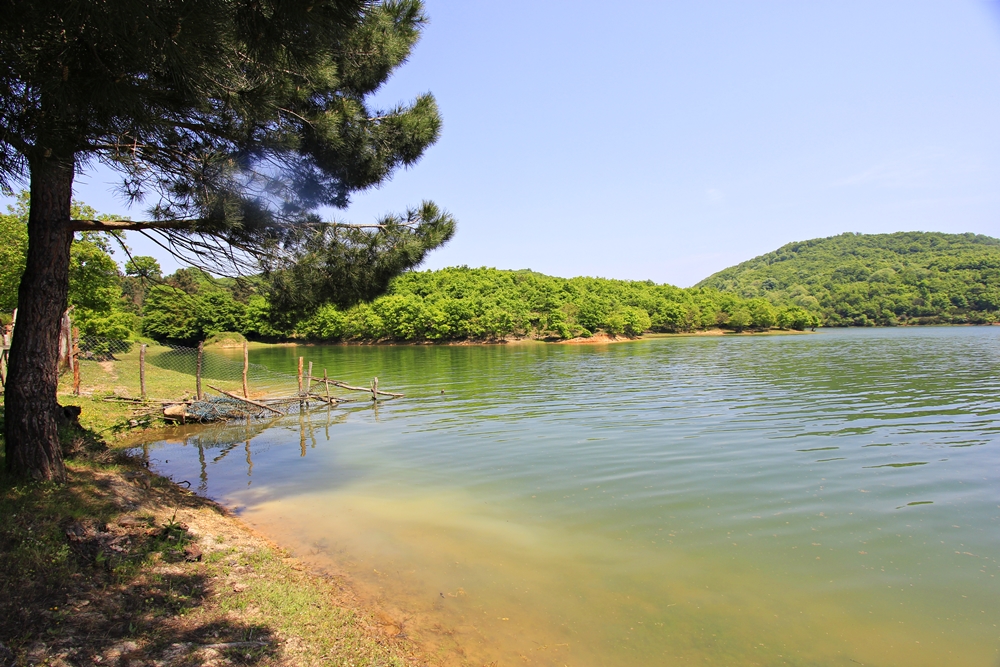 Ömerli Dam